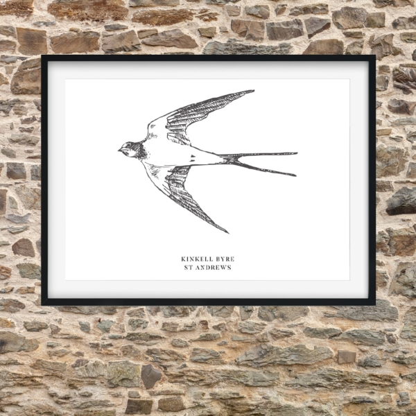 Kinkell Swallow