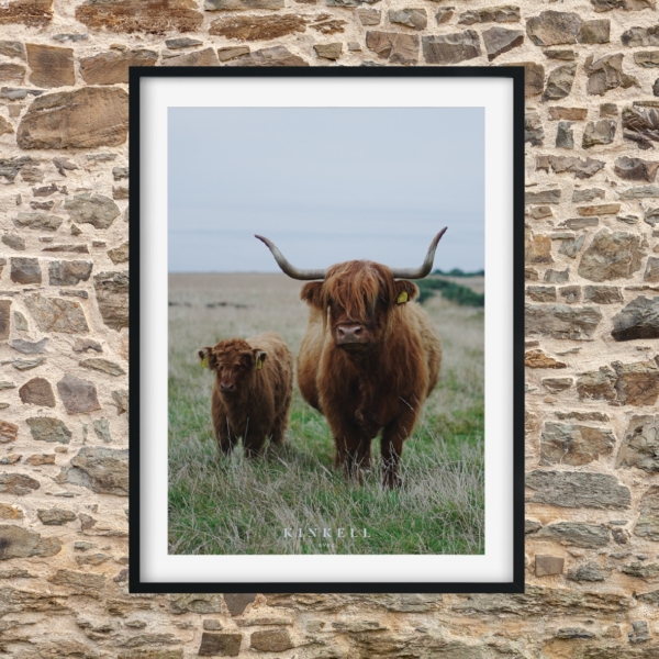 Mother & Calf