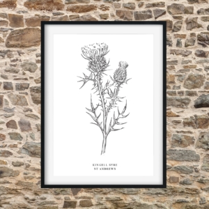 Kinkell Thistle