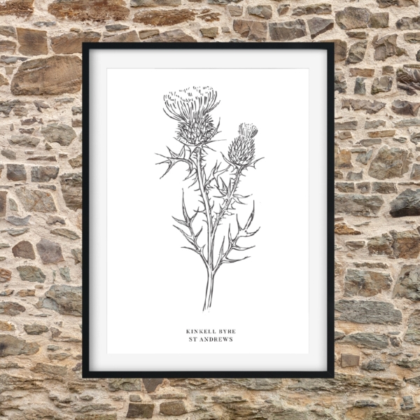 Kinkell Thistle